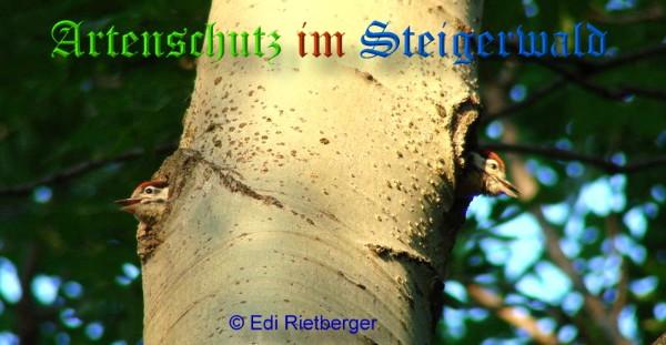 Copyright AiS / 2009 Edi Rietberger Bild zum Eintrag (20550-160)
