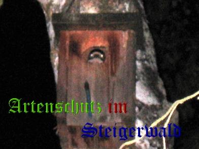 Copyright AiS / GW-RS Bild zum Eintrag (20554-160)