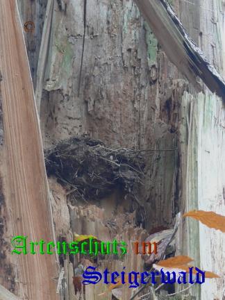 Copyright AiS / 2008 Bild zum Eintrag (20561-160)
