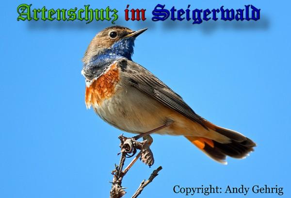 Copyright AiS / 2010 - Gehrig Bild zum Eintrag (20580-160)