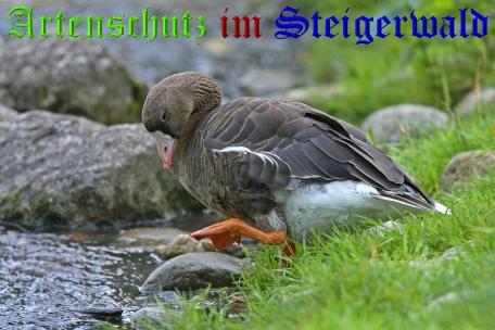 Copyright AiS Ulrich Rösch Bild zum Eintrag (20588-160)