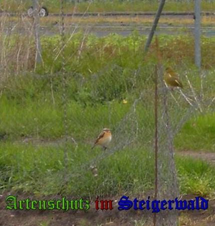 Copyright AiS / 2010-Tomaschek Bild zum Eintrag (20609-160)