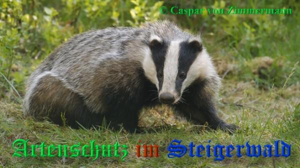 Copyright AiS / 2009 -- Caspar von Zimmermann Bild zum Eintrag (20630-160)