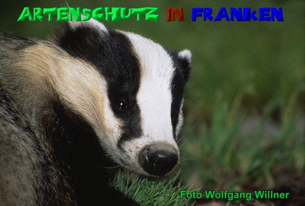 Copyright AiS - Wolfgang Willner Bild zum Eintrag (20631-160)
