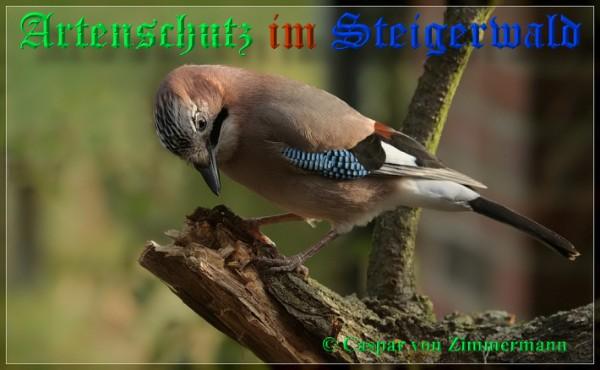 Copyright AiS / 2009 Caspar von Zimmermann Bild zum Eintrag (20654-160)
