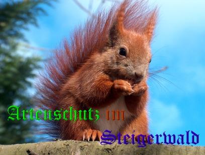 Copyright AiS / Eichhörnchenschutz Bild zum Eintrag (20663-160)