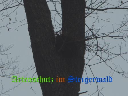 Copyright AiS / Weidner Bild zum Eintrag (20665-160)