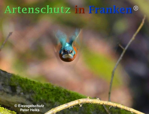Copyright AiF - Peter Heiks Bild zum Eintrag (20674-160)