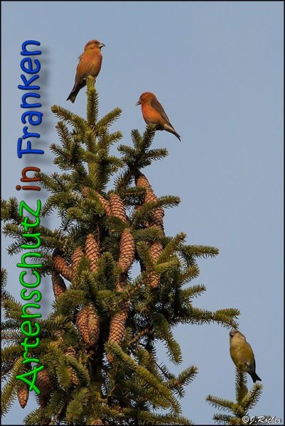 Copyright AiS Johannes Rother Bild zum Eintrag (20715-160)