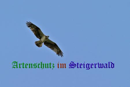 Bild zum Eintrag (20769-160)