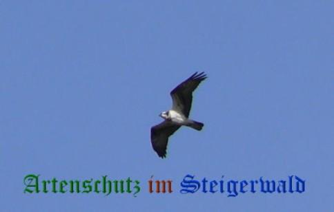 Copyright AiS / Weidner Bild zum Eintrag (20772-160)