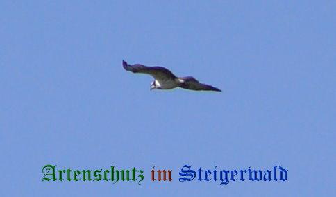 Copyright AiS / Weidner Bild zum Eintrag (20773-160)
