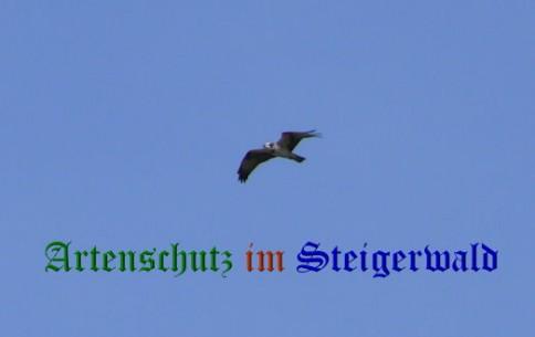 Copyright AiS / Weidner Bild zum Eintrag (20774-160)