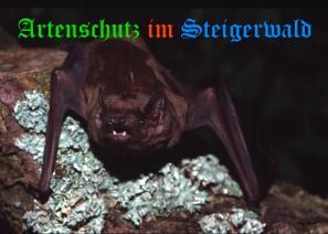 Copyright AiS / Dr. Eckhard Grimmberger Bild zum Eintrag (20781-160)
