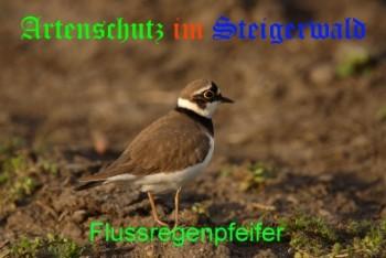 Copyright AiS / U. Rösch Bild zum Eintrag (20888-160)