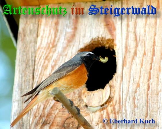 Copyright AiS / 2009 Eberhard Kuch Bild zum Eintrag (20912-160)