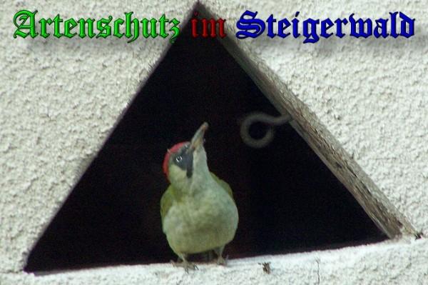 Copyright AiS / 2009 Winfried Zeck Bild zum Eintrag (20983-160)