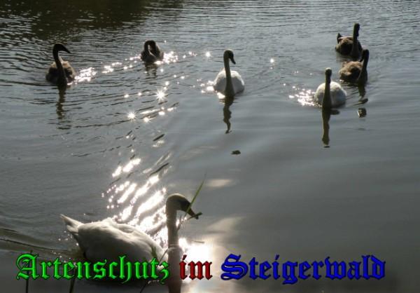 Copyright AiS / 2009 Albert Meier Bild zum Eintrag (21103-160)