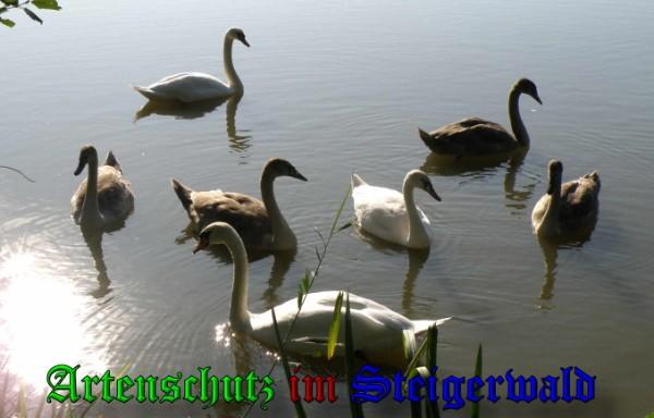 Copyright AiS / 2009 Albert Meier Bild zum Eintrag (21104-160)