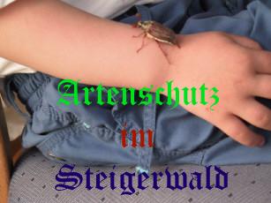 Copyright AiS Greb Bild zum Eintrag (21167-160)
