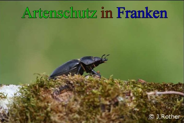 Copyright AiS-Johannes Rother Bild zum Eintrag (21173-160)