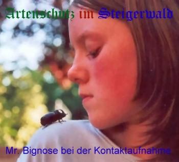 Copyright AiS Stepanek Bild zum Eintrag (21176-160)