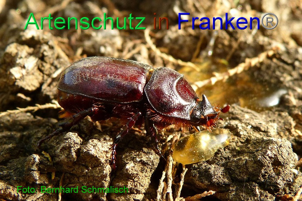 Copyright AiF / Bernhard Schmalisch Bild zum Eintrag (21177-160)
