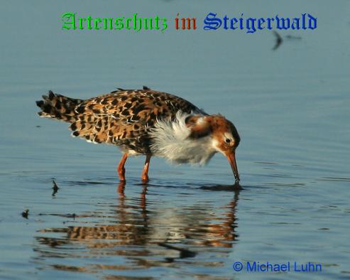 Copyright AiS / 2009 Foto: M.Luhn Bild zum Eintrag (21223-160)