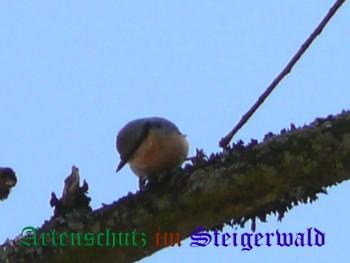 Bild zum Eintrag (21252-160)
