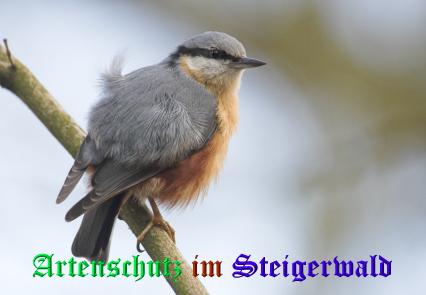 Copyright AiS / Gehrig Bild zum Eintrag (21256-160)