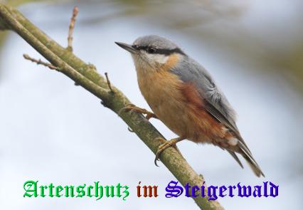 Copyright AiS / Gehrig Bild zum Eintrag (21257-160)