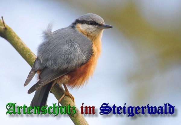Copyright AiS / 2010 Andy Gehring Bild zum Eintrag (21259-160)
