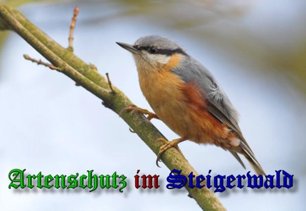 Copyright AiS / 2010 Andy Gehrig Bild zum Eintrag (21262-160)