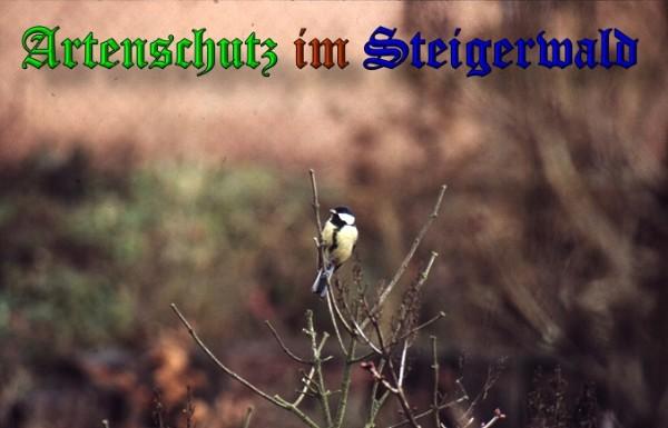 Copyright AiS / 2009 Frank Schaller Bild zum Eintrag (21281-160)