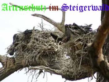 Copyright AiS / Kraft Bild zum Eintrag (21290-160)