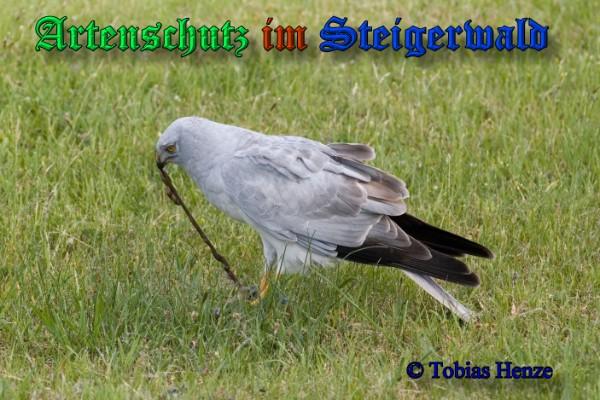 Copyright AiS / 2009 Tobias Henze Bild zum Eintrag (21294-160)