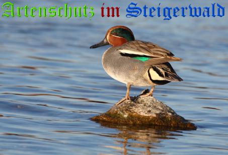 Copyright AiS / Andy Gehrig Bild zum Eintrag (21307-160)