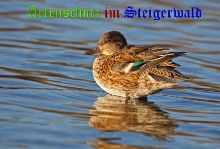 Copyright AiS / Andy Gehrig Bild zum Eintrag (21308-160)