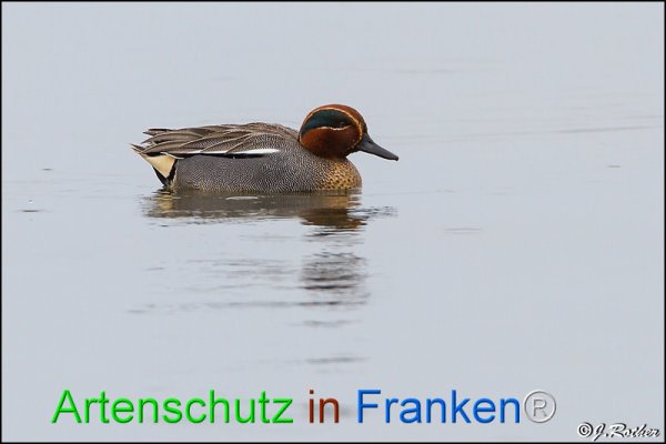 Copyright AiF Johannes Rother Bild zum Eintrag (21309-160)