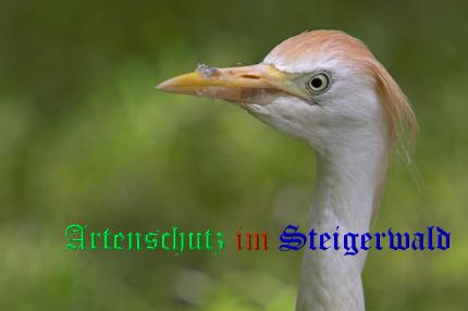 Copyright AiS / Ulrich Rösch Bild zum Eintrag (21312-160)