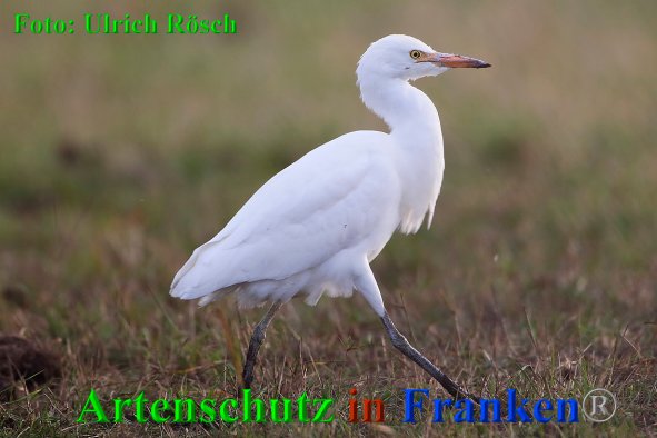Copyright AiF Ulrich Rösch Bild zum Eintrag (21314-160)