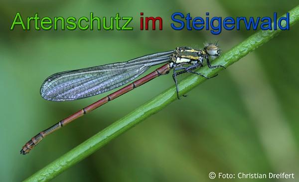 Copyright AiS / 2010 Christian Dreifert Bild zum Eintrag (21568-160)