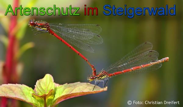 Copyright AiS / 2010 Christian Dreifert Bild zum Eintrag (21569-160)