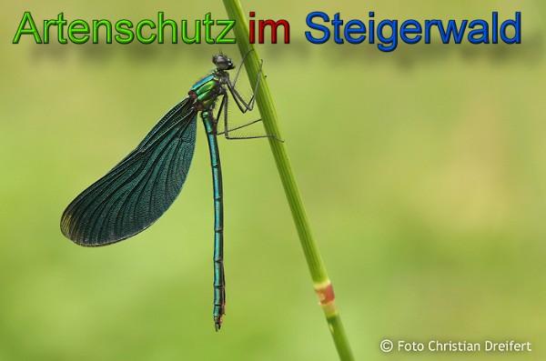Copyright AiS / 2010 Christian Dreifert Bild zum Eintrag (21574-160)
