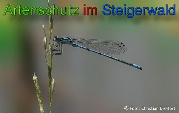Copyright AiS / 2010 Christian Dreifert Bild zum Eintrag (21578-160)