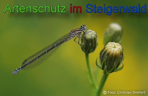 Copyright AiS / 2010 Christian Dreifert Bild zum Eintrag (21579-160)