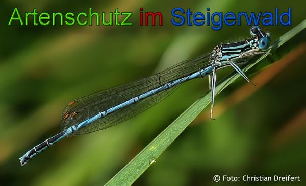 Copyright AiS / 2010 Christian Dreifert Bild zum Eintrag (21582-160)