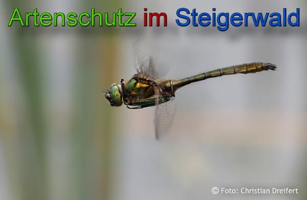 Copyright AiS / 2010 Christian Dreifert Bild zum Eintrag (21590-160)