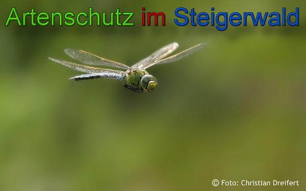 Copyright AiS / 2010 Christian Dreifert Bild zum Eintrag (21597-160)