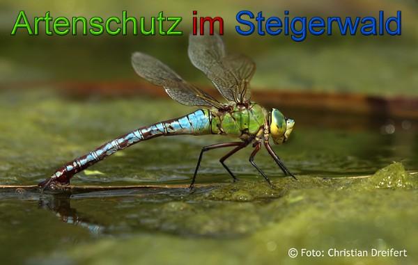 Copyright AiS / 2010 Christian Dreifert Bild zum Eintrag (21598-160)